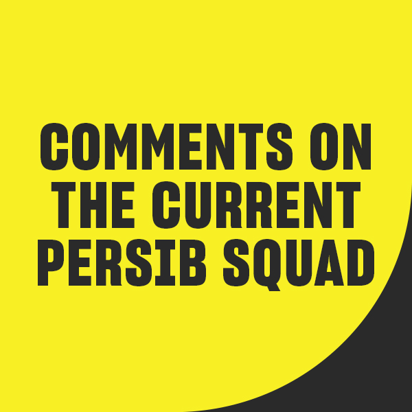 Comments on the current Persib squad
